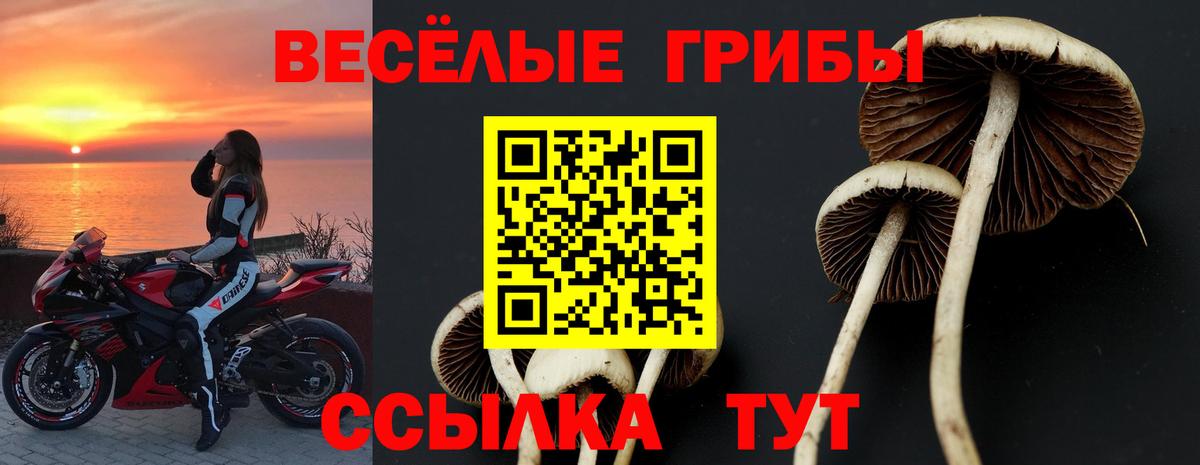 Арсеньев  Псилоцибиновые грибы Magic Shrooms  Вход с VPN 