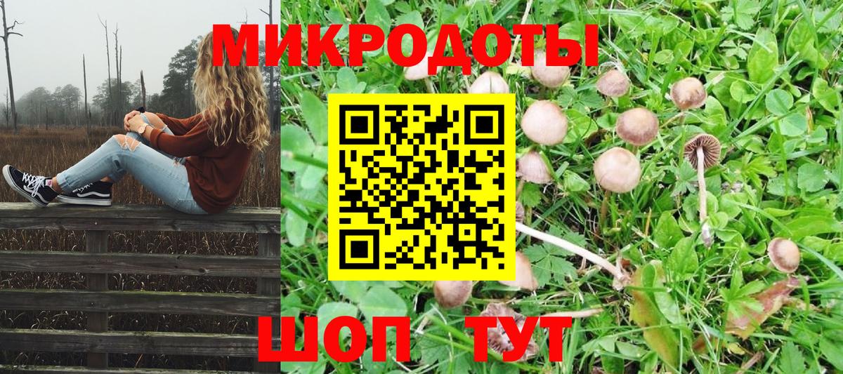 Галлюциногенные грибы мухоморы Арсеньев